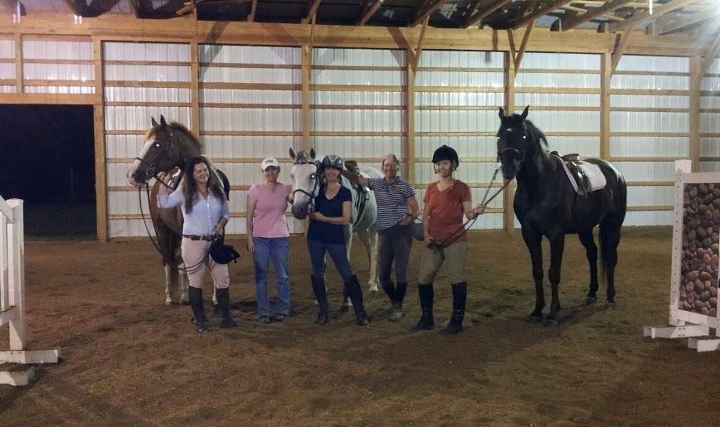 Soft Landing Stables LLC Boarding nr DC | 207 Farmington Rd W, Accokeek, MD 20607, USA | Phone: (703) 944-9456