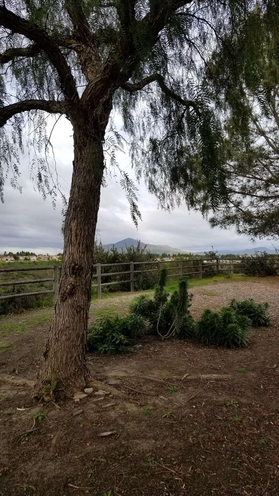 Explorer Park | S Rancho Del Rey Pkwy, Chula Vista, CA 91910, USA