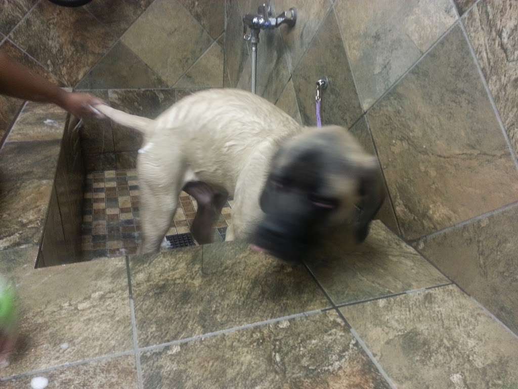 Pet Valu | 1308 Main Chapel Way, Gambrills, MD 21054, USA | Phone: (410) 451-1585