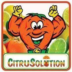 CitruSolution Carpet Cleaning | 10508 Old Wayside Rd, Charlotte, NC 28277, United States | Phone: (704) 677-5903