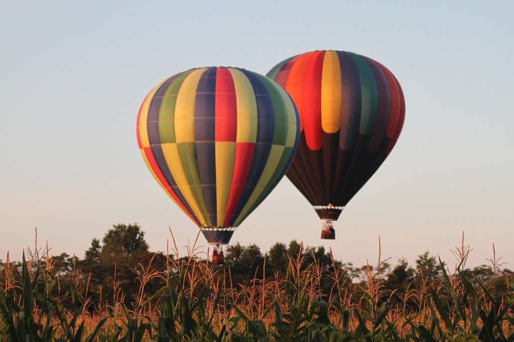 Fantasy Balloon Flights, New York | 101 Airport Road Gate "C" Randall Aiport, Middletown, NY 10940, USA | Phone: (845) 856-7103