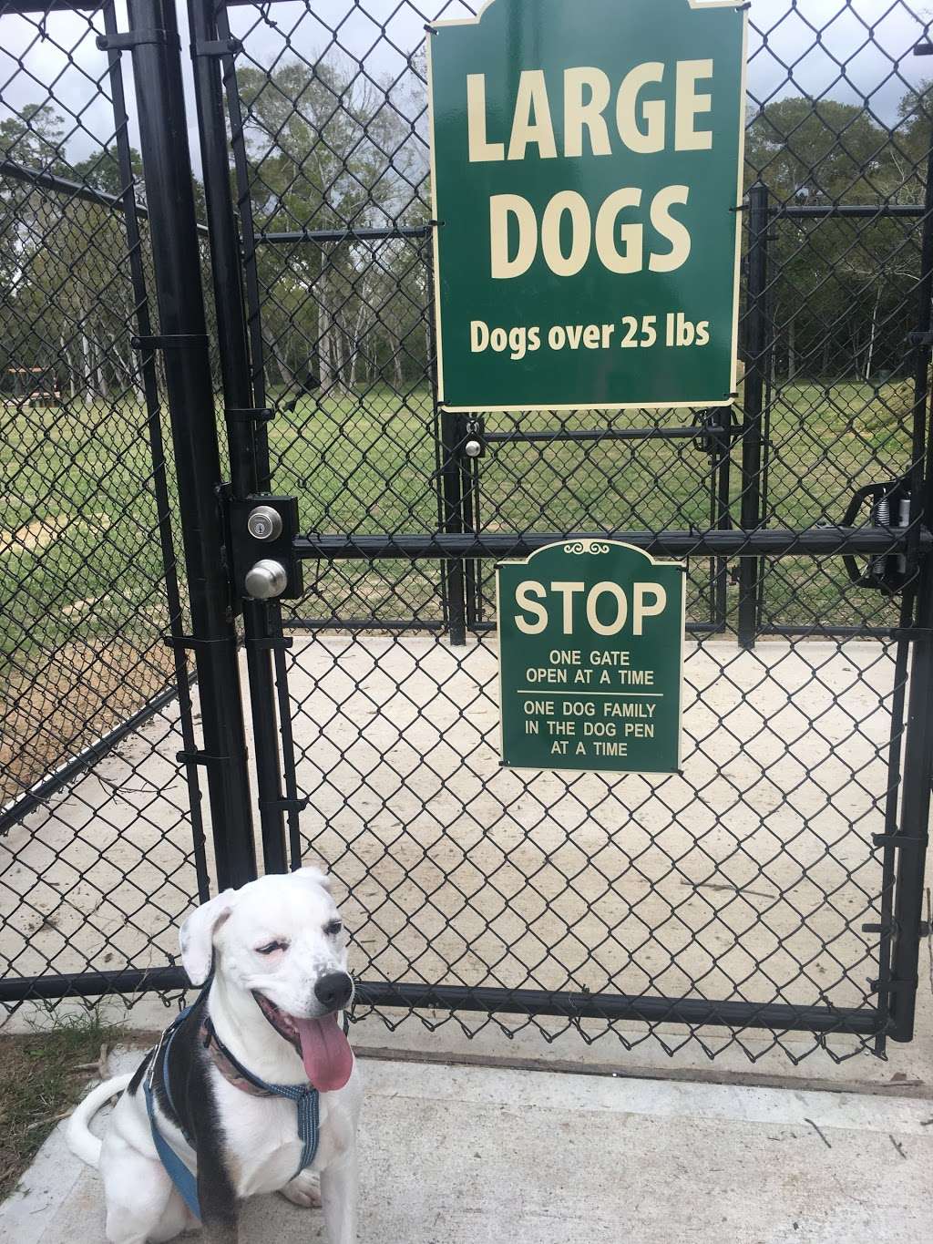 League Citys 1st Dog Park | 175 Bay Area Blvd, League City, TX 77573