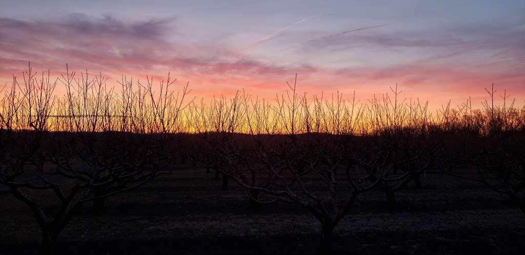 Brecknock Orchard | 390 Orchard Rd, Mohnton, PA 19540, USA | Phone: (717) 445-5704 Brecknock Orchard | 390 Orchard Rd, Mohnton, PA 19540, USA | Phone: (717) 445-5704