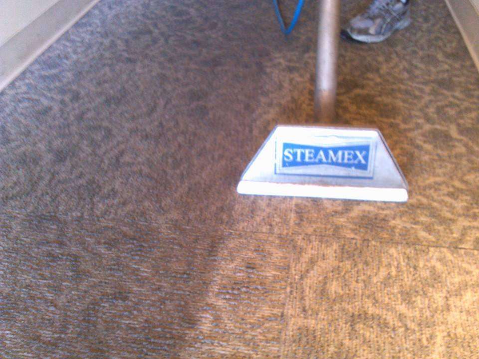 Steamex Carpet Cleaning | 8629 S Los Feliz Dr, Tempe, AZ 85284, USA | Phone: (480) 839-3320