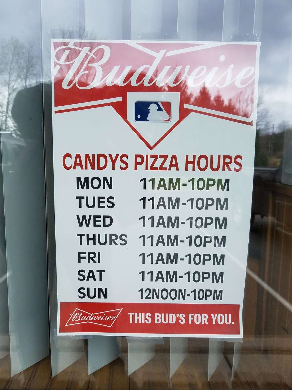 Candys Pizza | 448 US-206, Montague Township, NJ 07827 | Phone: (973) 293-8441