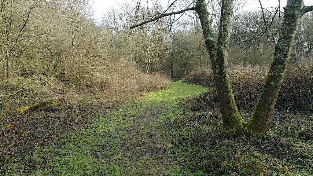 Edolphs Copse | 0EP, Stan Hill, Horley RH6 0EP, UK