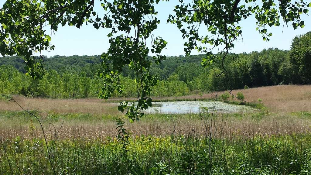 Jelke Creek Bird Sanctuary | Boncosky Rd, Dundee Township, IL 60118, USA | Phone: (847) 428-8092