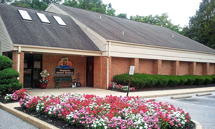 Clementon Animal Hospital | 210 White Horse Pike, Clementon, NJ 08021, USA | Phone: (856) 784-2304