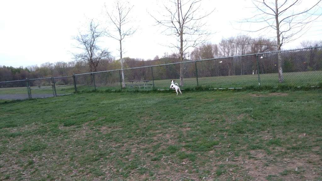 Kennedy Dells Dog Park | Zukor Rd, New City, NY 10956 | Phone: (845) 364-2670