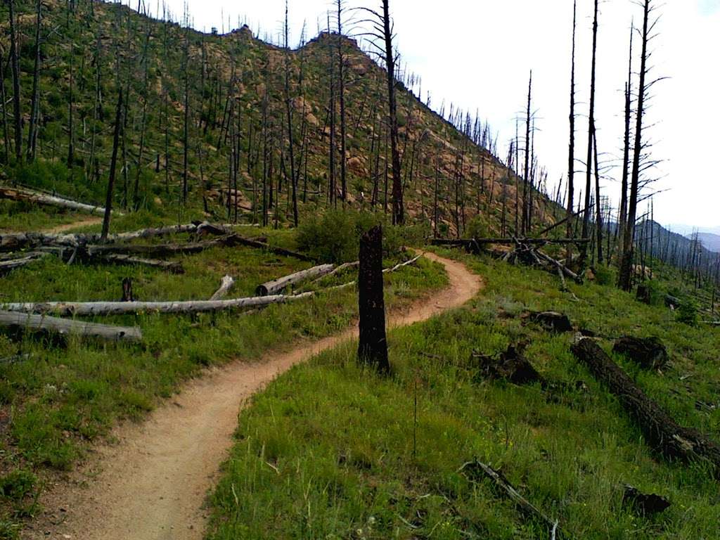 Shingle Mill Trailhead Parking | Pine, CO 80470