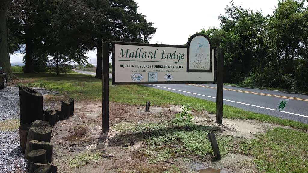 Mallard Lodge & Aquatic Research Center | -3345, 4876 Hay Point Landing Rd, Smyrna, DE 19977, USA | Phone: (302) 653-3431
