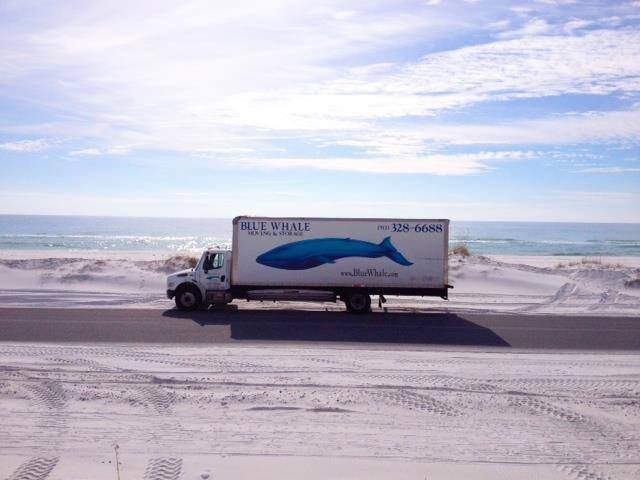 Blue Whale Moving Company - Austin | 8291 Springdale Rd #100, Austin, TX 78724, USA | Phone: (512) 328-6688
