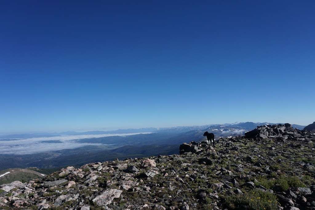 Mt. Bancroft | Continental Divide Trail, Idaho Springs, CO 80452, USA