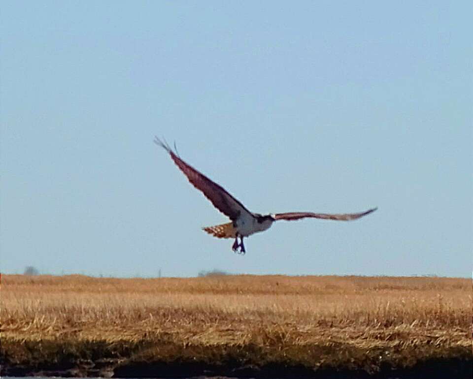 Cohansey River Wildlife Management Area | Bridgeton, NJ 08302