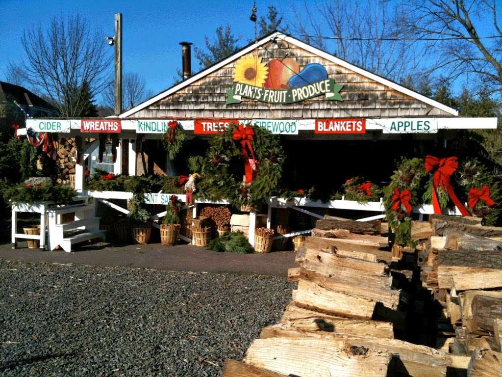 Country Gentleman Christmas Trees & Firewood | 115 Washington Valley Rd, Warren, NJ 07059, USA | Phone: (908) 917-9221