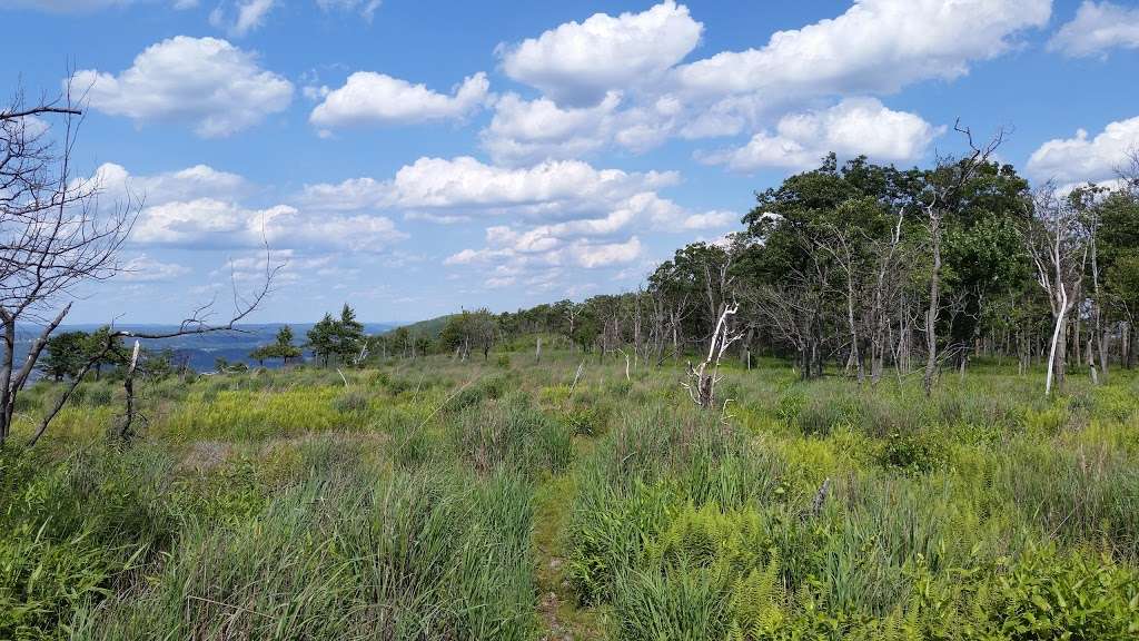 Blue Mountain Loop | Appalachian Trail, Slatington, PA 18080