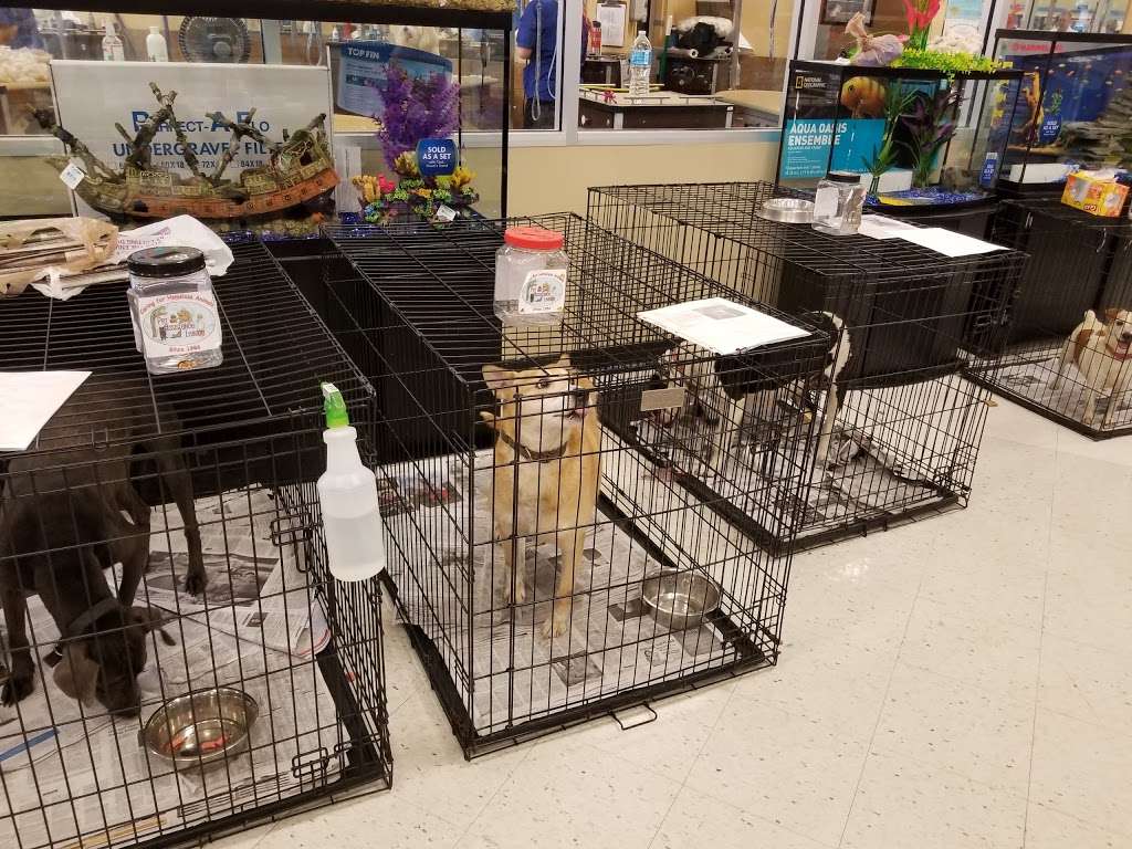 PetSmart | 13337 Worth Ave, Woodbridge, VA 22192 | Phone: (703) 490-8676