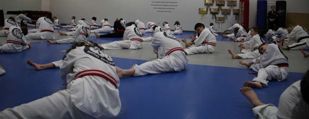 World Martial Arts Academy | S75W17321 Janesville Rd, Muskego, WI 53150, USA | Phone: (262) 679-1010