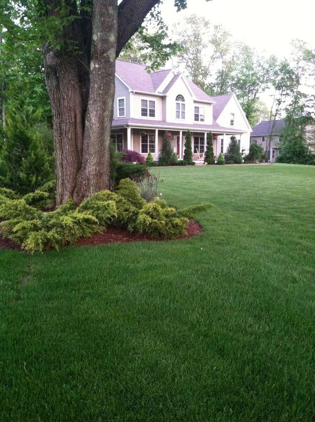 Lawn Dawg | 65 Ryan Dr #7f, Raynham, MA 02767, USA | Phone: (508) 844-4040