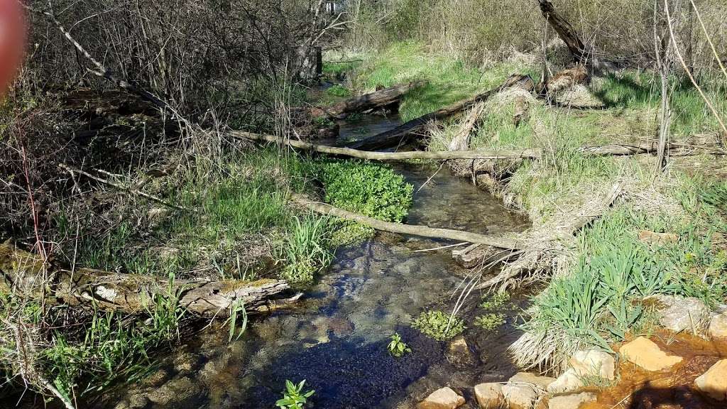 Paradise Springs Nature Trail W374 S8640 County Rd N Eagle Wi 53119 Usa