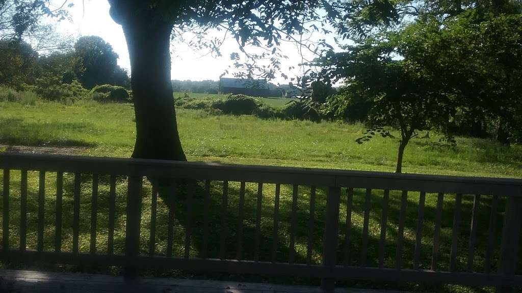 Anne Arundel County Park, Deale | Deale Rd, Deale, MD 20751, USA