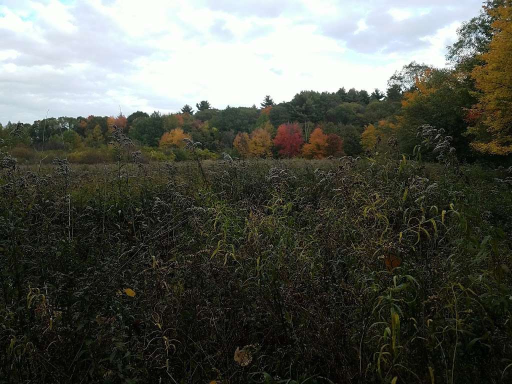 Blue Hills Trails, Milton, MA | Milton, MA 02186, USA