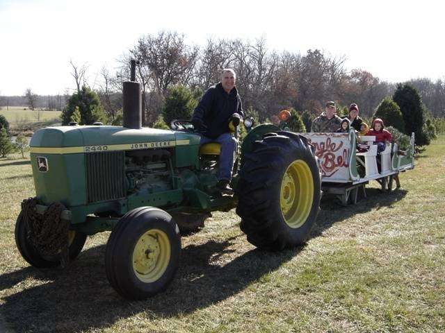 Jingle Bell Trees | 7821 SE 240th St, Lathrop, MO 64465, USA | Phone: (816) 740-3732