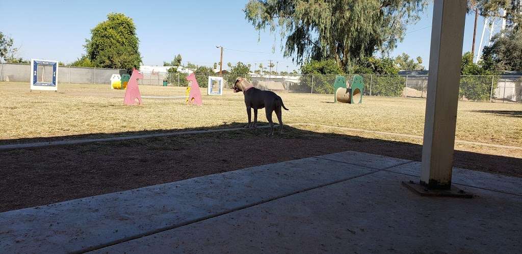 Snedigar dog park | Unnamed Road, Chandler, AZ 85248, USA | Phone: (480) 980-7136