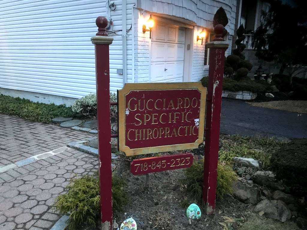 Gucciardo Specific Chiropractic | 162-07 91st St, Howard Beach, NY 11414 | Phone: (718) 845-2323