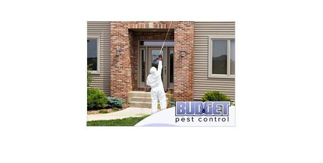 Pest Control Denver | Exterminator Denver | Budget Pest Control | 14677 E Easter Ave Ste G, Centennial, CO 80112, USA | Phone: (303) 790-7378