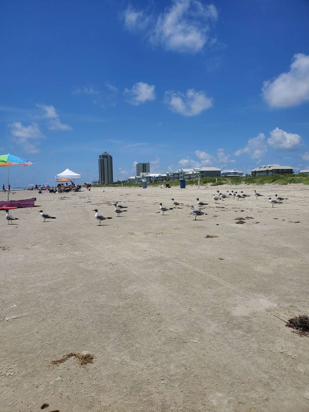 Fantasy Island | E Beach Dr, Galveston, TX 77550, USA