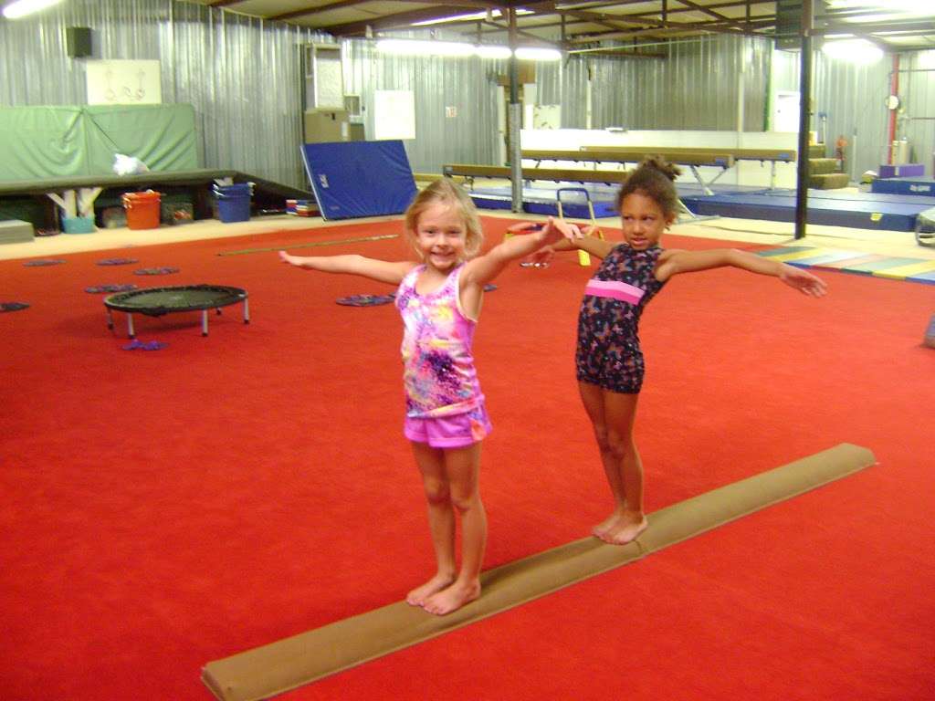 Wiseman Gymnastics Academy | 15617 Old US Hwy 441, Tavares, FL 32778, USA | Phone: (352) 343-1961