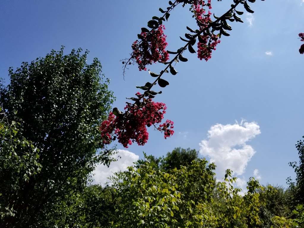 Torrence Creek Greenway | Torrence Creek Greenway-N, Huntersville, NC 28078, USA