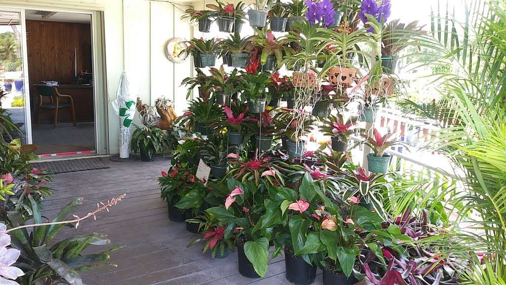 Art By Nature Garden Center Inc | 5155 Northlake Blvd, Palm Beach Gardens, FL 33418 | Phone: (561) 718-2990