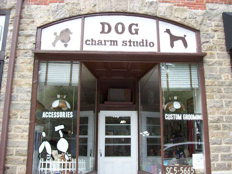 Dog Charm Studio | 69 Harney Rd, Scarsdale, NY 10583 | Phone: (914) 713-4384