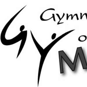 Gymnastics of York: Manchester | 3711 Board Rd, York, PA 17406, USA | Phone: (717) 384-5252