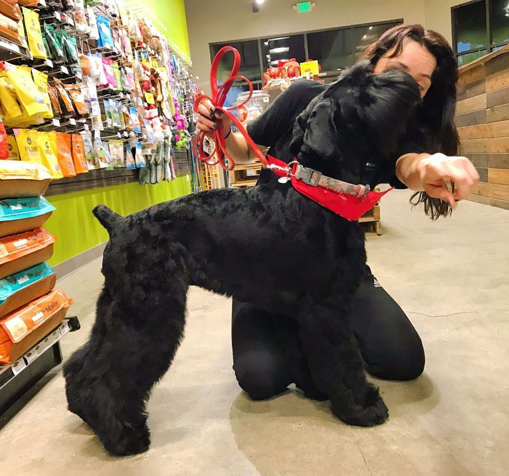 Dirty Dogs Carlsbad | 2521 Palomar Airport Rd #105, Carlsbad, CA 92011, USA | Phone: (760) 438-3478 Dirty Dogs Carlsbad | 2521 Palomar Airport Rd #105, Carlsbad, CA 92011, USA | Phone: (760) 438-3478