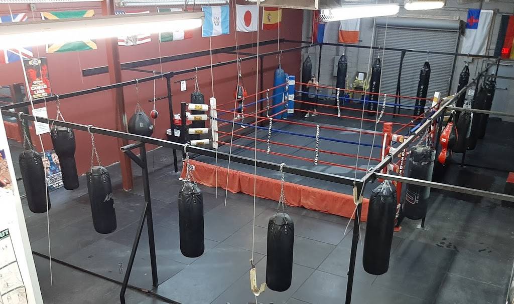 Hard Knocks Gym | 11042 N 24th Ave #105, Phoenix, AZ 85029 | Phone: (602) 944-4791