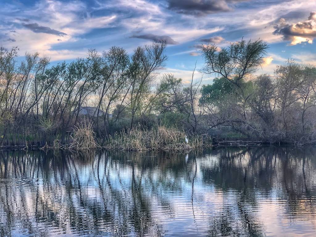 Sweetwater Wetlands Park | 2511 W Sweetwater Dr, Tucson, AZ 85745, USA | Phone: (520) 791-4331