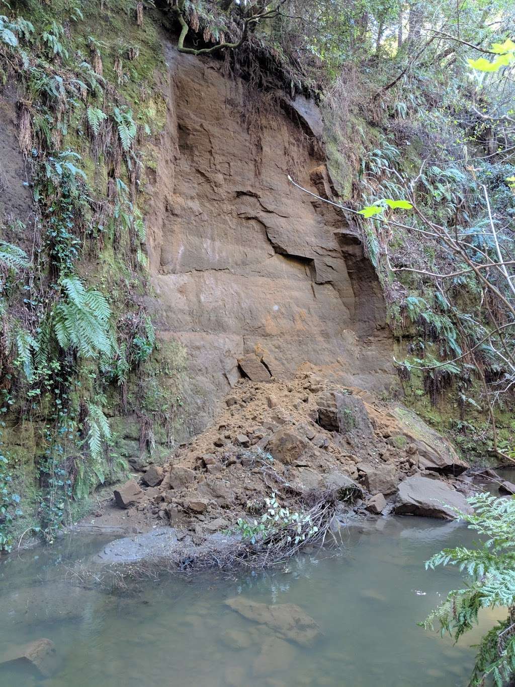 The Forest of Nisene Marks Entrance Station | 664-784 Aptos Creek Fire Rd, Aptos, CA 95003, USA