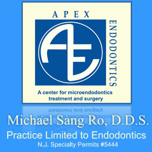 Apex Endodontics: Michael Sang Ro DDS | 1617, 446 NY-304 suite b, Bardonia, NY 10954 | Phone: (845) 694-3626