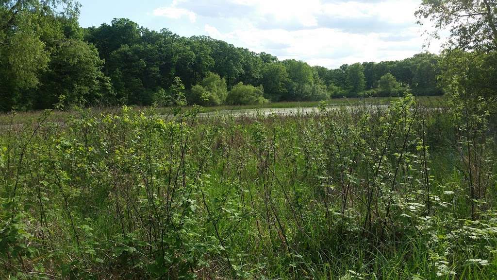 Campton Forest Preserve | 4N379 Town Hall Rd, St. Charles, IL 60175, USA | Phone: (630) 232-5980