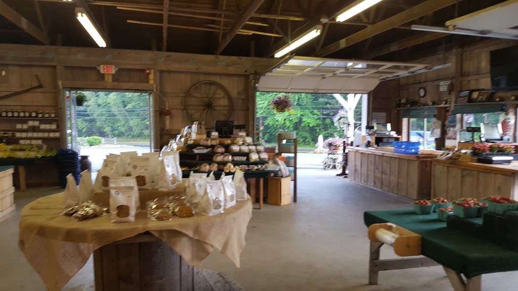 Marini Farm Stand | 259 Linebrook Rd, Ipswich, MA 01938 | Phone: (978) 356-0430