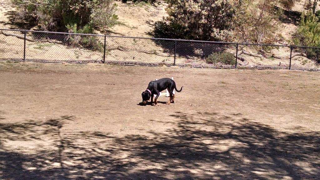 Nobel Leash-Free Park | 8820 Judicial Dr, San Diego, CA 92122, USA | Phone: (858) 552-1626