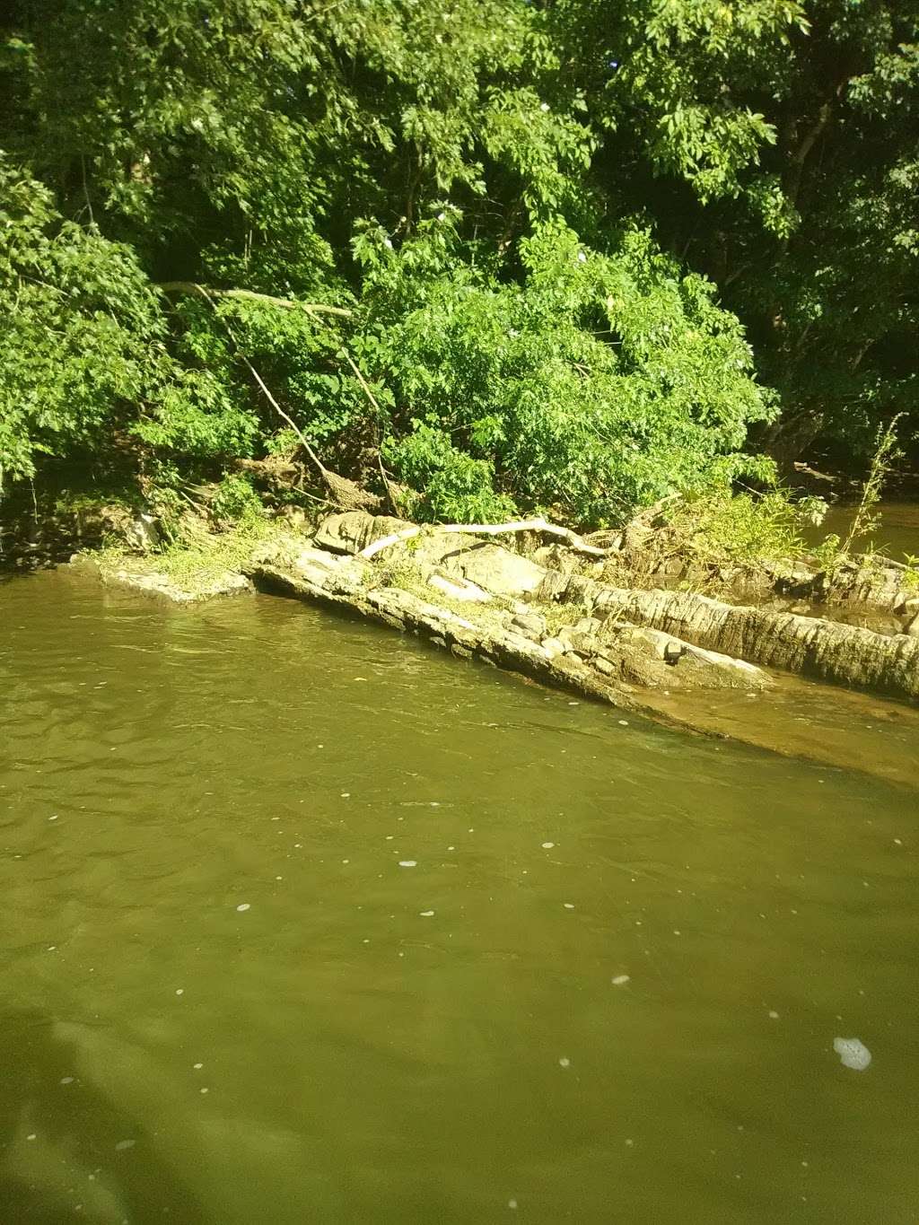 Perelman Park | 1996 Landis Valley Rd, Lancaster, PA 17601, USA | Phone: (717) 290-7180