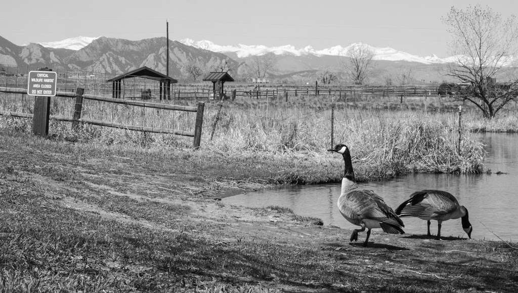 Carolyn Holmberg Preserve at Rock Creek Farm | 1449 Dunsford Way, Broomfield, CO 80020, USA | Phone: (303) 678-6200