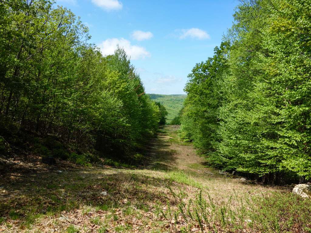 Nordkop Mountain | Hillburn, NY 10901, USA