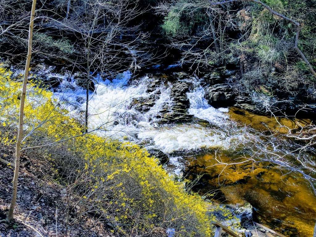 Rocky Glen State Park Scenic Reserve | 27 Glen Rd, Sandy Hook, CT 06482, USA | Phone: (860) 424-3200