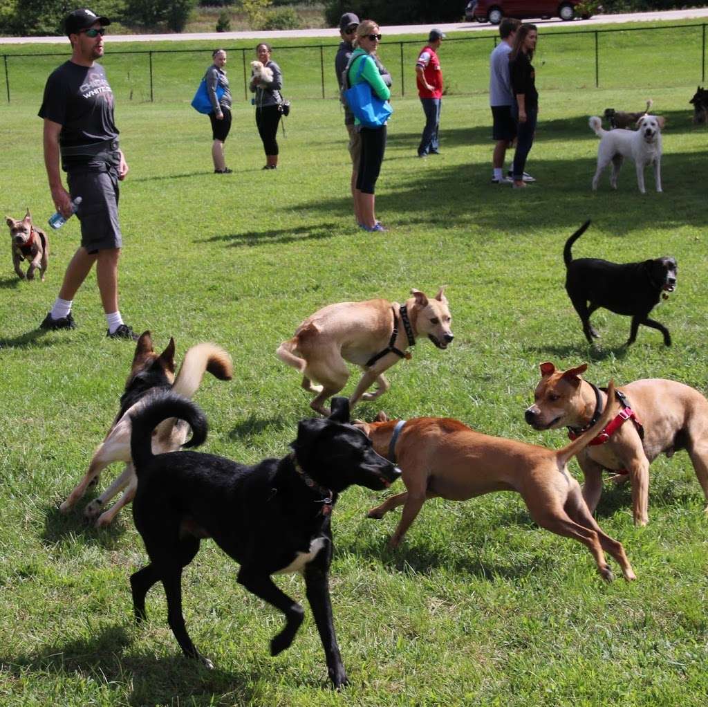 Spring Avenue Dog Park | 185 Spring Ave, Glen Ellyn, IL 60137 | Phone: (630) 858-2462