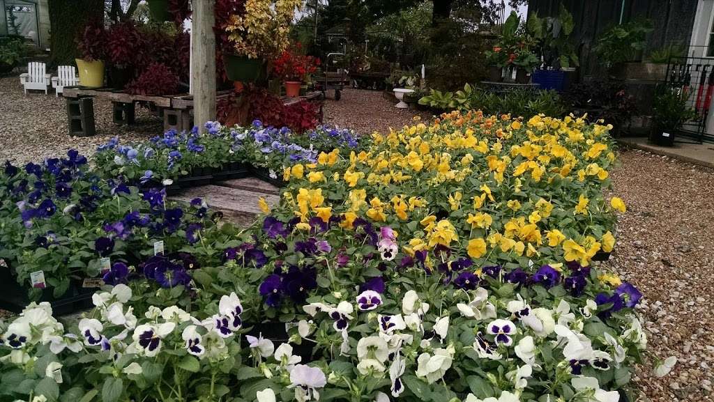 Clinton Parkway Nursery | 4900 Clinton Parkway, Lawrence, KS 66047, USA | Phone: (785) 842-3081